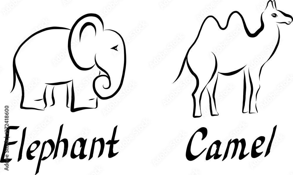 Obraz premium Set of vector icons of elephant and camel