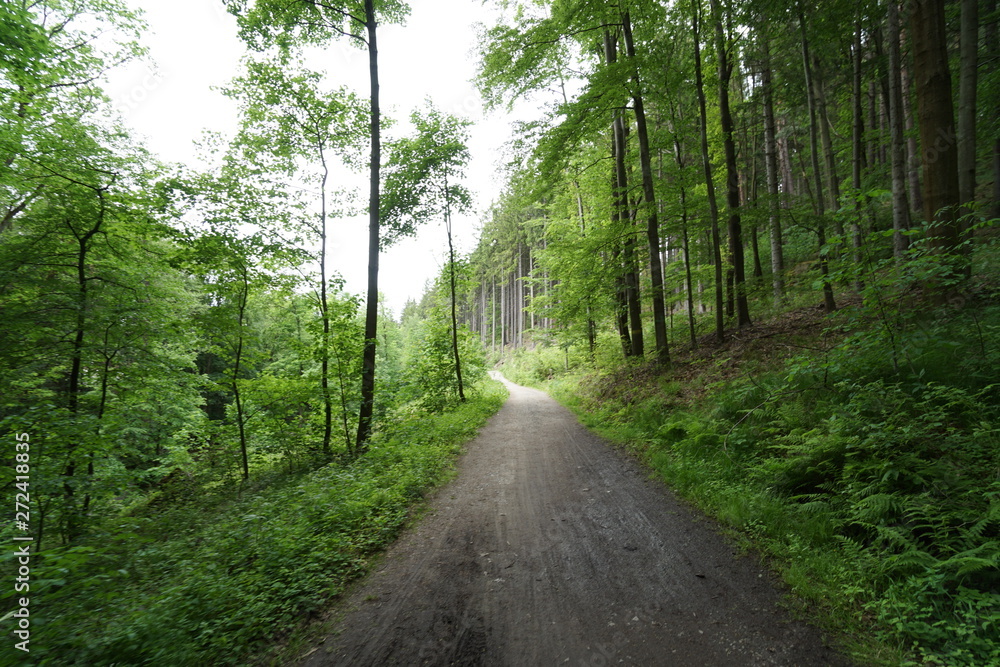 Fototapeta premium Ostdeutschland 