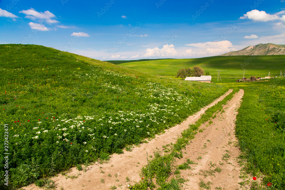 Beautiful spring and summer landscape. Mountain country road among green hills.