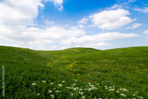 Beautiful spring and summer landscape. Mountain country road among green hills. Bright green grass.
