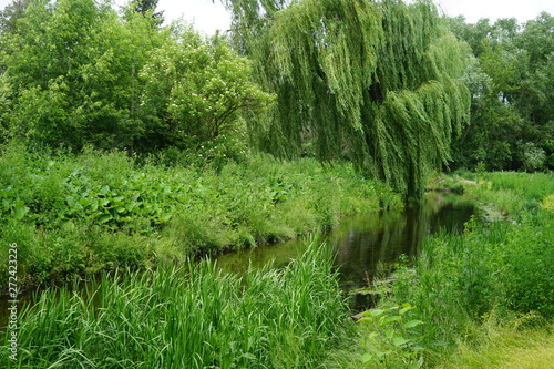 Wilde, grüne Flusslandschaft in Berlin (Erpetal)