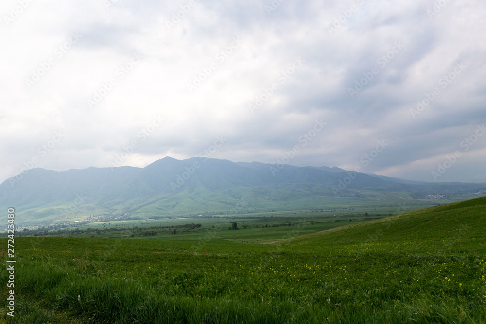 Beautiful spring and summer landscape. Lush green hills, high mountains. Bright green grass. Spring flowering grass. Beautiful spring and summer landscape. Lush green hills, high mountains. Bright green grass. Spring flowering grass.