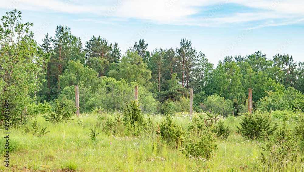 old fence in the field