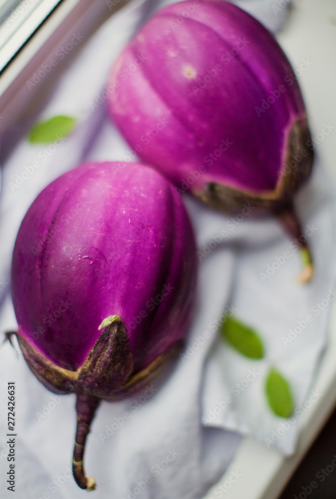 two ripe purple eggplants on a napkin two ripe purple eggplants on a napkin