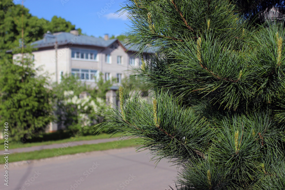 house in the park