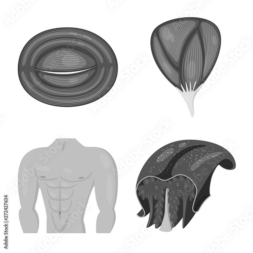 Isolated object of human and body sign. Set of human and cells vector icon for stock.