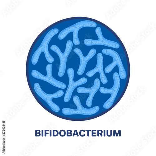 Vector probiotics in circular shape. Bifidobacterium. Microbiome. Medicine or dietary supplement. Brochure, flyer, label, cover, poster, banner, package, advertising, presentation. Blue color. Eps10