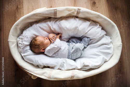 Fototapeta A top view of a newborn baby at home, sleeping in a moses basket.