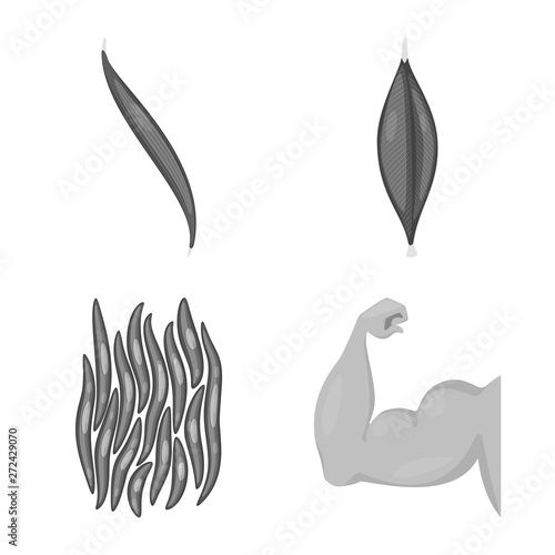 Vector design of human and body symbol. Set of human and cells stock vector illustration.