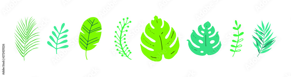 Set of palm leaves. Vector design elements. Set of palm leaves. Vector design elements.