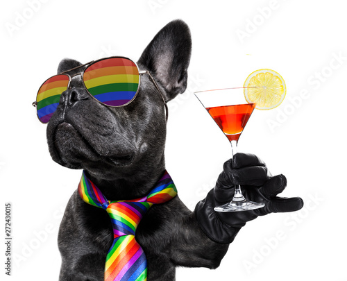Fototapeta Naklejka Na Ścianę i Meble -  gay pride dog