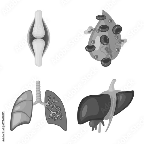 Isolated object of internal and medical logo. Set of internal and health vector icon for stock.