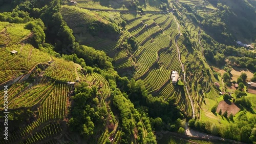 Aerial 4K - Valtellina (IT) - Castionetto di Chiuro - Vista dei vigneti 