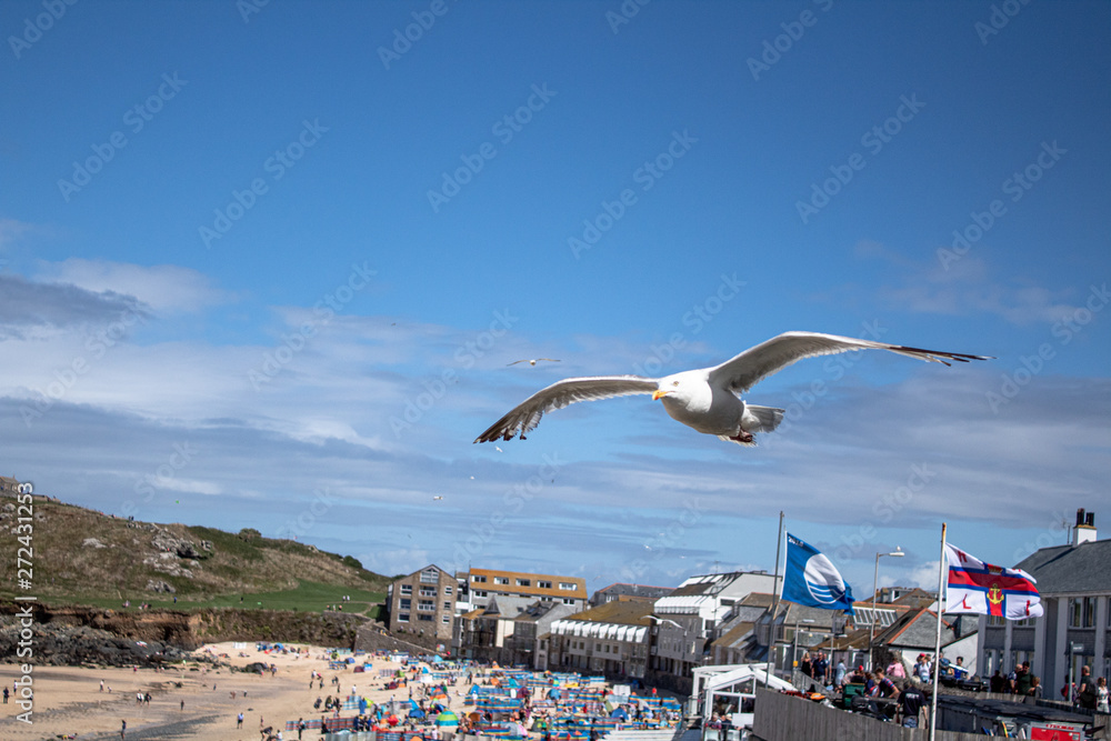 Low Flying Seagulls Over Porthmear Beach, St Ives, Cornwall 