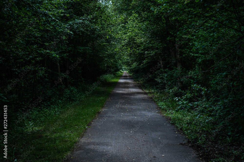 Chemin dans une forêt en Belgique Chemin dans une forêt en Belgique