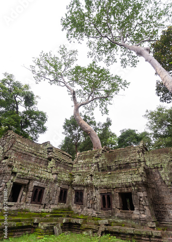 Ta Prohm temple overgrown with tree roots, Siem Reap Province, Angkor, Cambodia photo