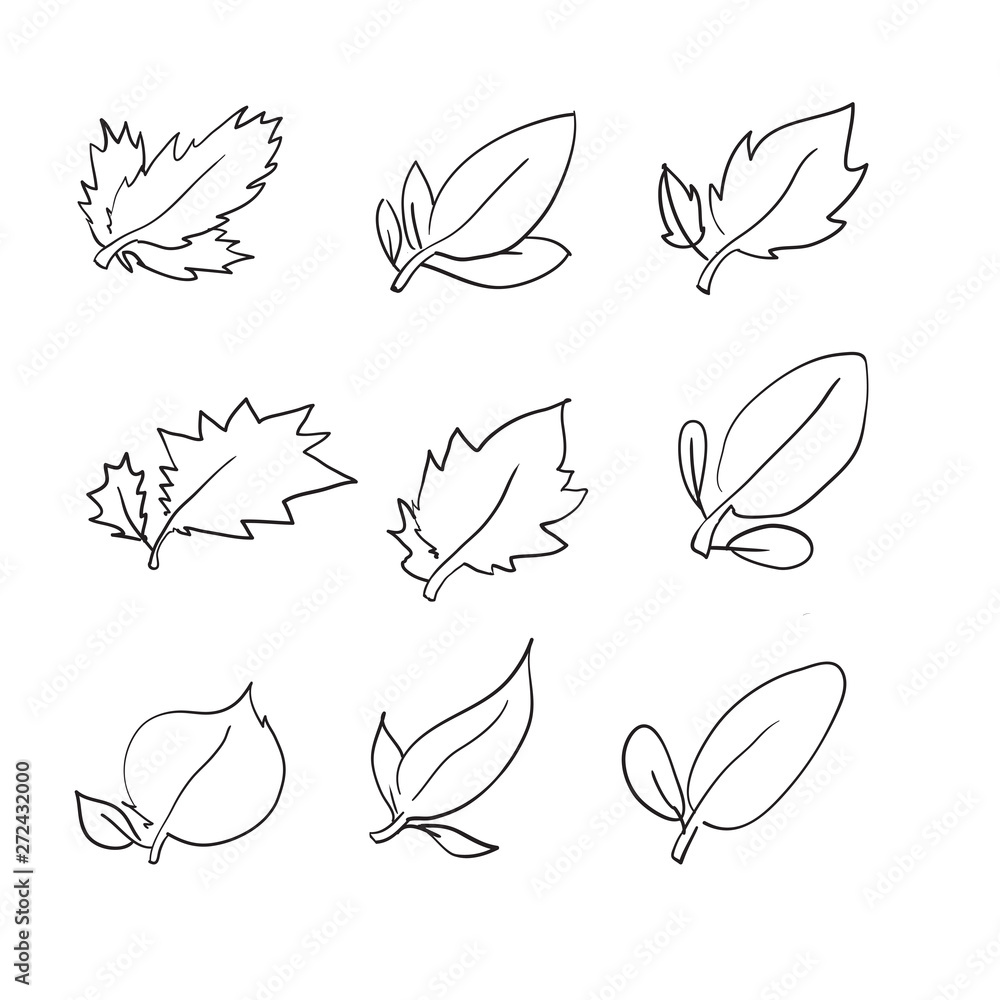 handdrawn doodle leaf icon in cartoon style collection vector handdrawn doodle leaf icon in cartoon style collection vector