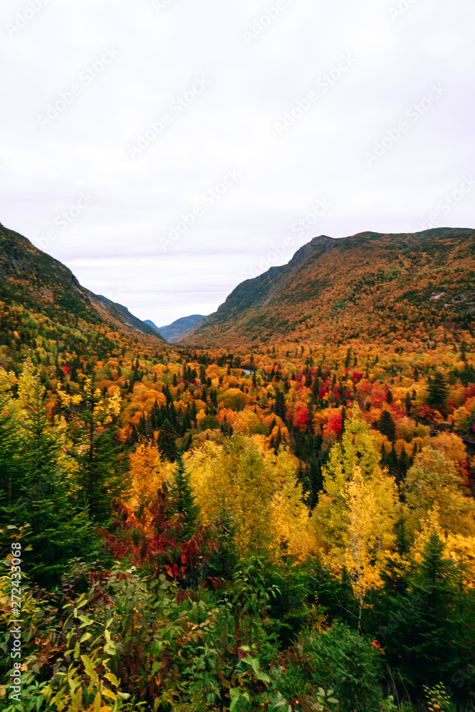 Regional Park of Hautes-Gorges of the Malbaie River at autumn time
