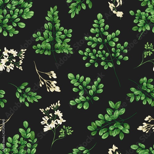 Floral seamless pattern with Miracle Tree or Moringa oleifera leaves and flowers. Natural backdrop with foliage and inflorescences of cultivated plant. Realistic vector illustration in vintage style.