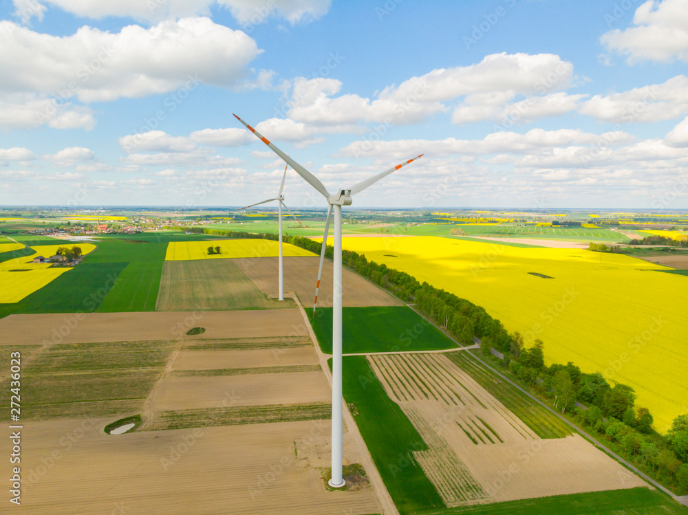Wiatrak wiatraki elektrownia wiatrowa rzepak pole