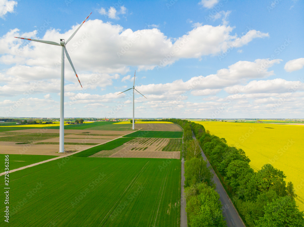Wiatrak wiatraki elektrownia wiatrowa rzepak pole