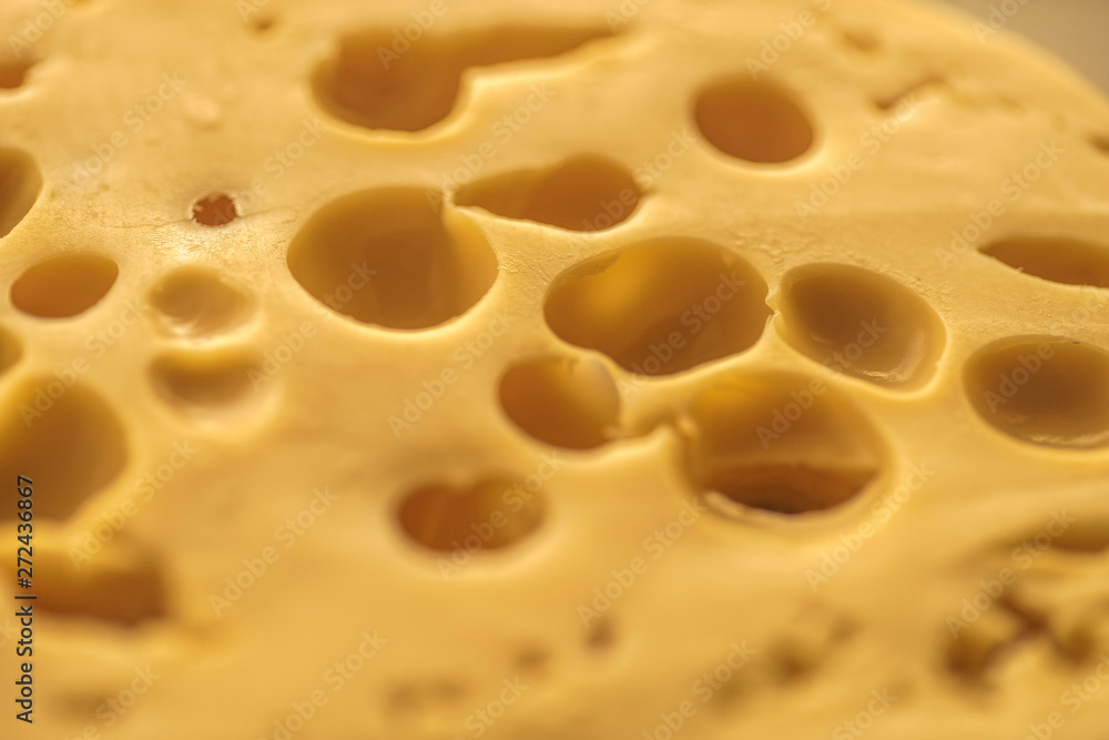 Dutch Hard Cheese Maasdam Dutch Hard Cheese Maasdam