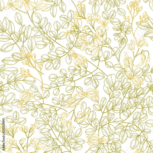 Botanical seamless pattern with Moringa oleifera leaves and flowers. Natural backdrop with medicinal plant or herb drawn with contour lines on white background. Elegant floral vector illustration.