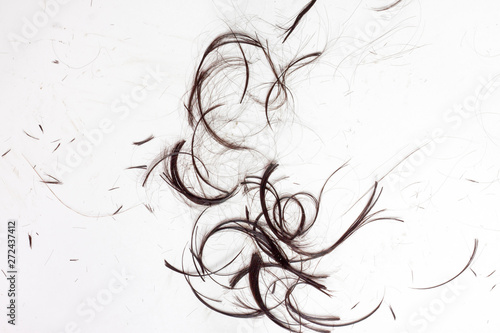 Obraz na plátne Hair cut off at the white tile floor in the barber shop.