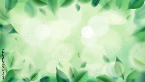 Green nature background with blurred spring leaves vector illustration