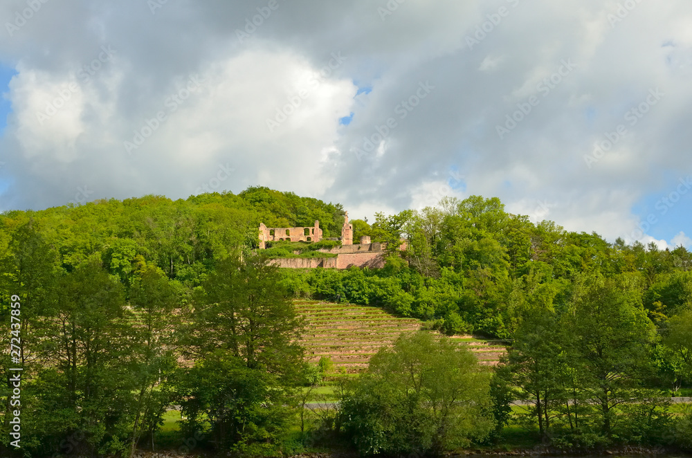 Burgruine Kollenberg am Main, Collenberg Burgruine Kollenberg am Main, Collenberg