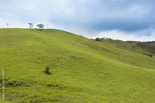 Fondo de pantalla o escritorio colina y cesped verde 