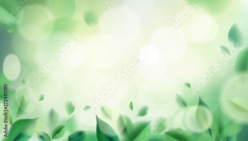 Park nature with sun light abstract background with spring green leaves vector illustration