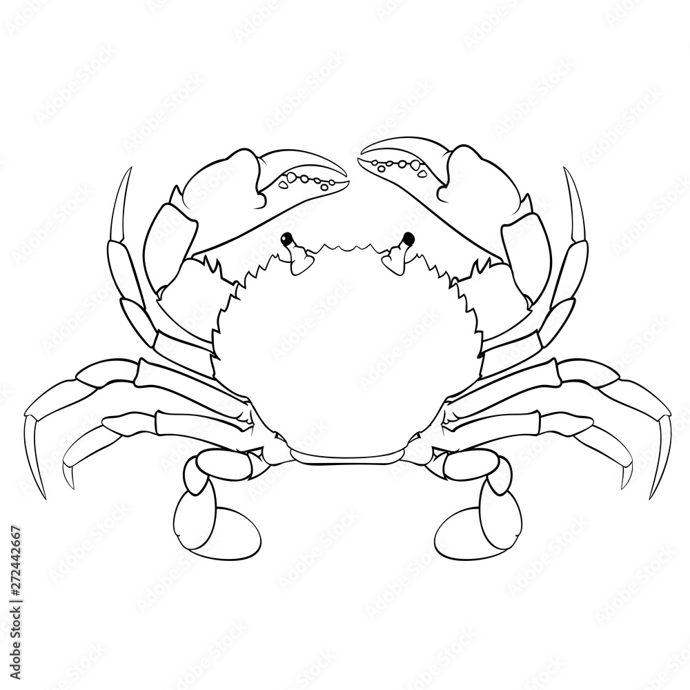 Coloring book for children, red crab Stock Vector | Adobe Stock