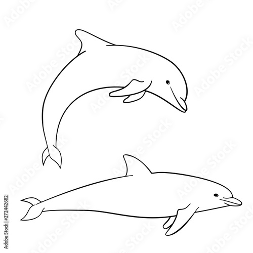 Coloring book for children, dolphin