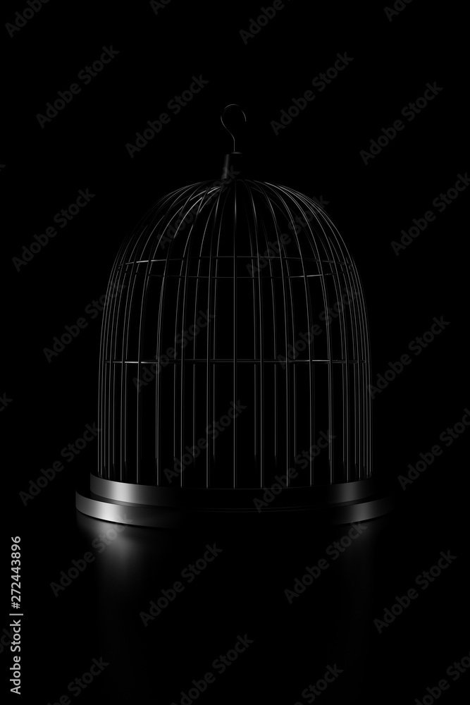 Light and shadow of bird cage in the darkness. 3D rendering. Stock  Illustration | Adobe Stock