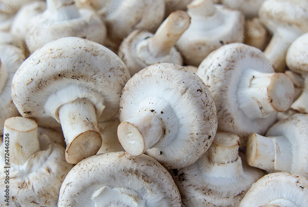 Champignon mushrooms close up background Champignon mushrooms close up background