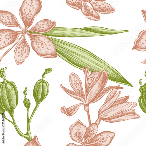 Seamless pattern with hand drawn pastel blackberry lily