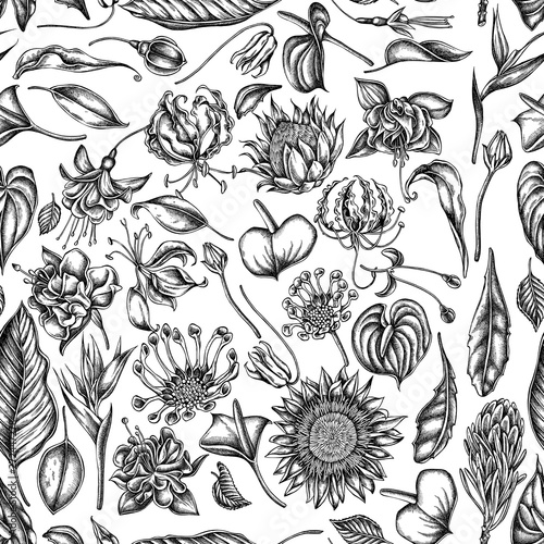 Seamless pattern with black and white african daisies, fuchsia, gloriosa, king protea, anthurium, strelitzia