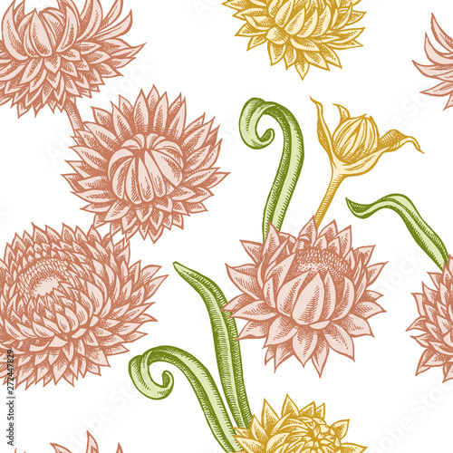 Seamless pattern with hand drawn pastel helichrysum