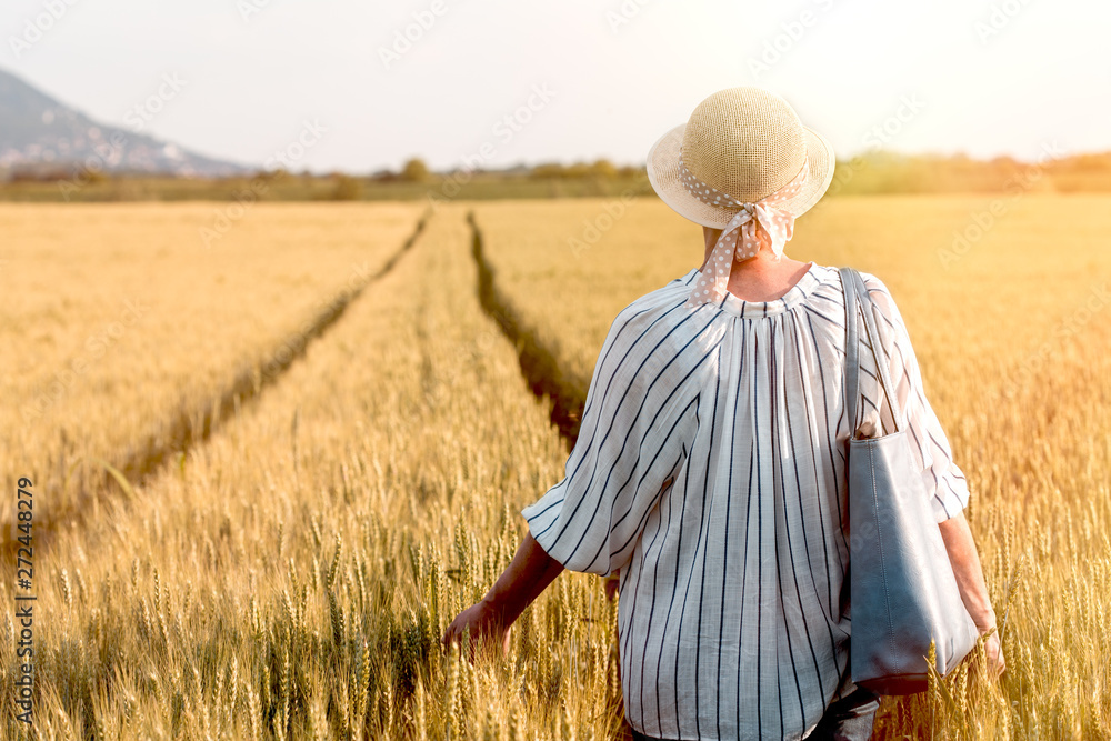 Woman walks through wheat field, woman walks through agricultural field, harvest time coming Woman walks through wheat field, woman walks through agricultural field, harvest time coming