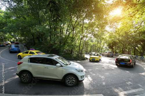 Cars pass through the forest from asphalt road © onlyyouqj