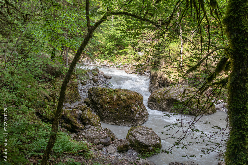 Bürser Schlucht, Vorarlberg, Austria - the most beautiful landscapes in the Alps with an almost primeval forest-like tree population and wild river runs. Bürser Schlucht, Vorarlberg, Austria - the most beautiful landscapes in the Alps with an almost primeval forest-like tree population and wild river runs.