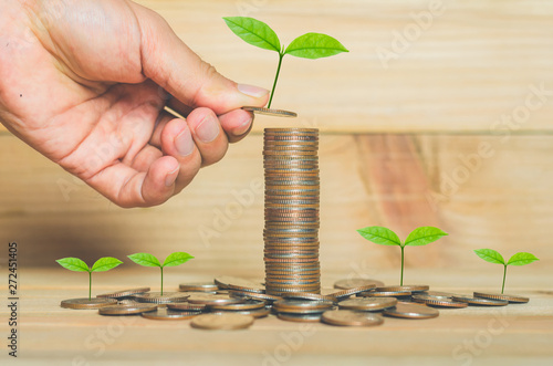 business man hand put coins stack on wood table with green plant growing on. money saving business finance success wealth investment budget concept. startup plan. ESG.