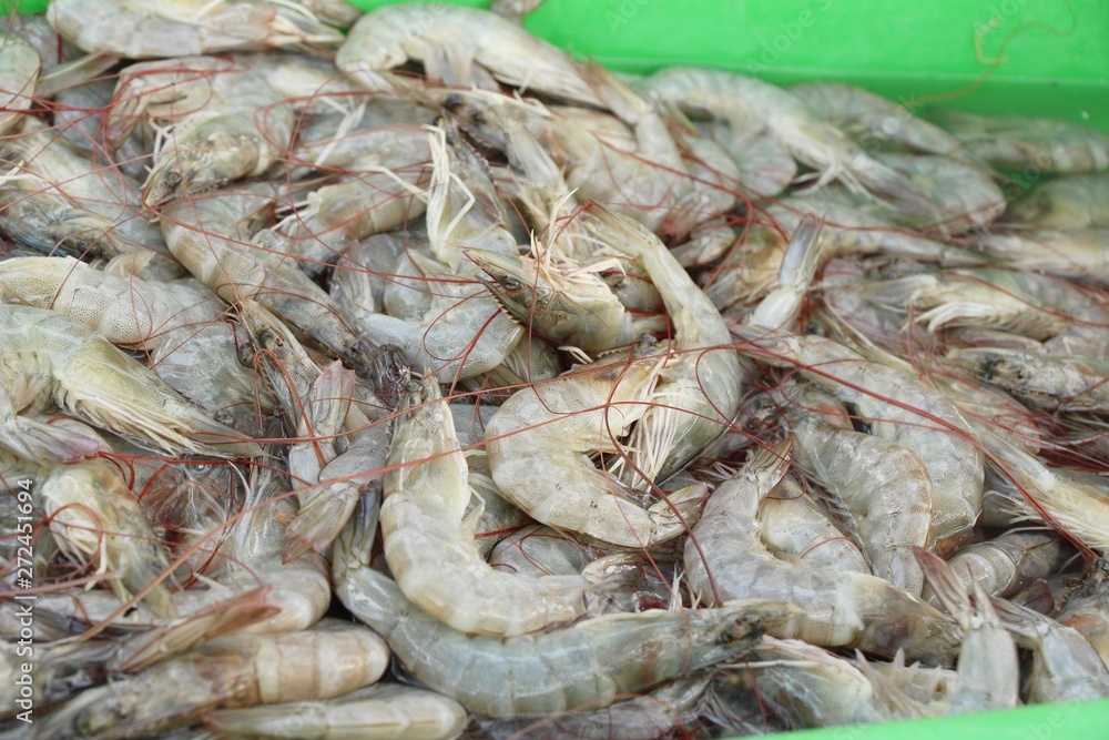 Fresh shrimp for cooking at street food Fresh shrimp for cooking at street food