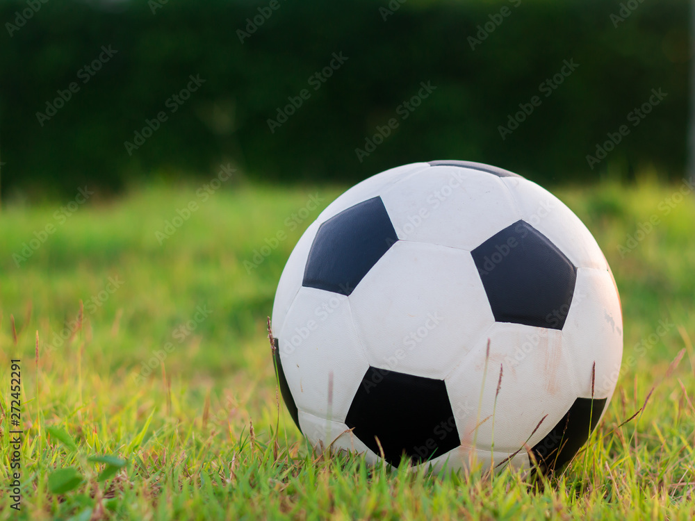 Fototapeta premium football put on grass in the park
