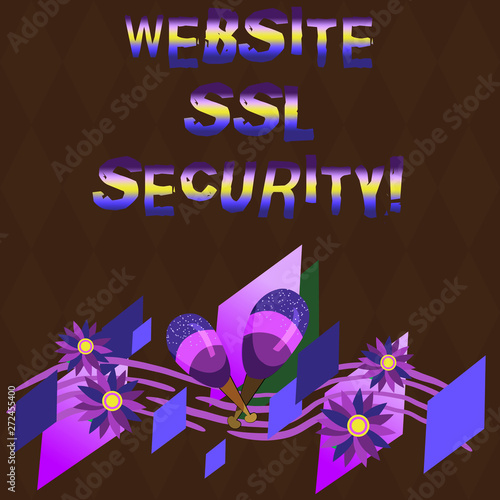 Conceptual hand writing showing Website Ssl Security. Business photo showcasing encrypted link between a web server and a browser Colorful Instrument Maracas Flowers and Curved Musical Staff