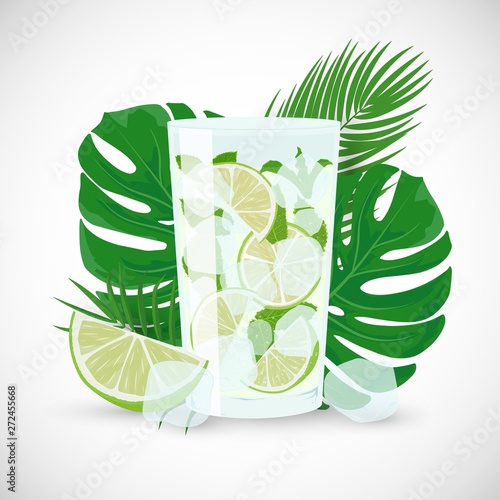 Vector cartoon flat illustration of Classic Mojito cocktail. Hand drawn glass of fresh Mojito with lime, mint and ice on tropic leaves background. Classic alcohol cocktail isolated on white background