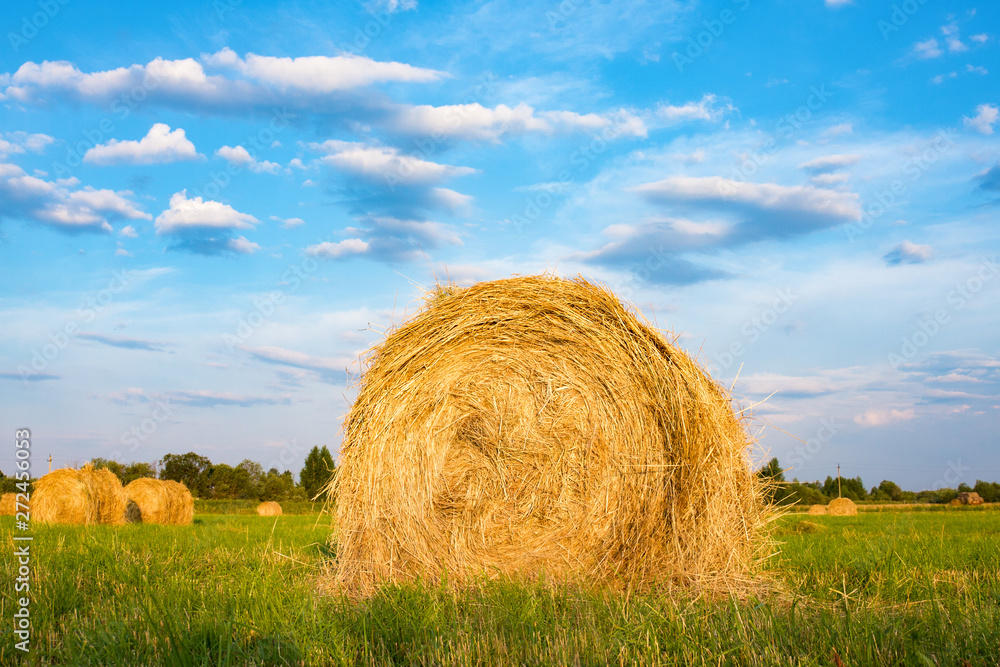 Hay bale. Agriculture field with sky. Rural nature in the farm land Hay bale. Agriculture field with sky. Rural nature in the farm land