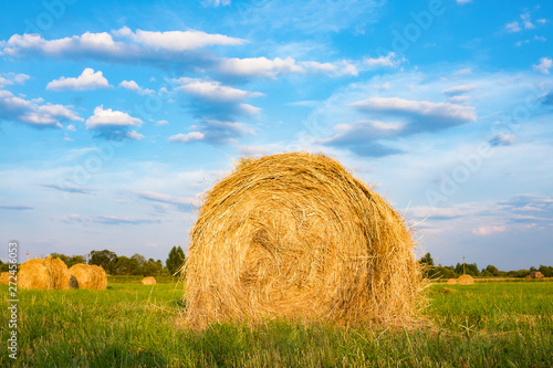 Hay bale. Agriculture field with sky. Rural nature in the farm land