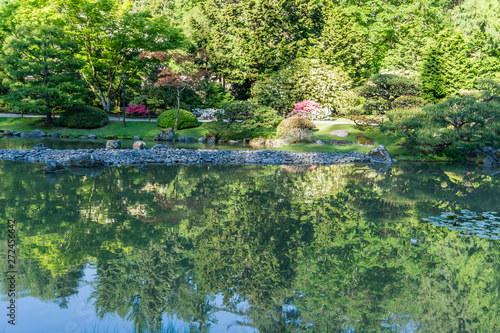 Garden Pond Reflection